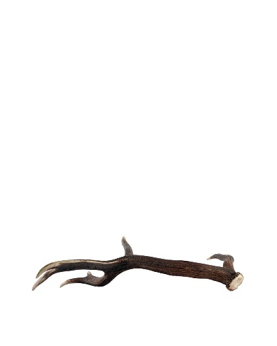 German Deer Antler, Brown/Cream