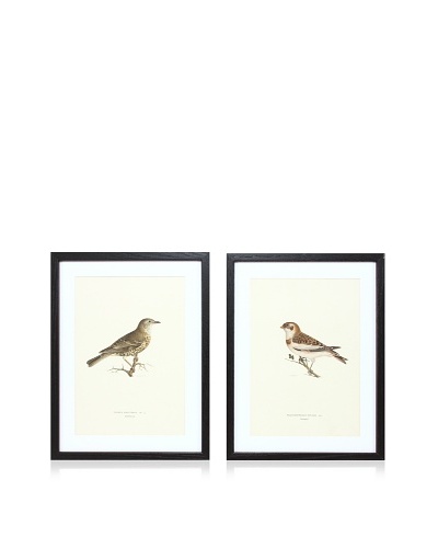 Wright Brothers Bird Prints, C. 1920, Pair