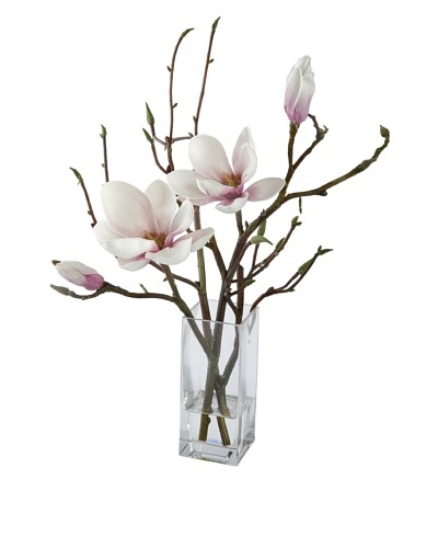 Magnolia in Glass [Orchid]