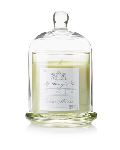 Apothecary Guild Candle Jar with Glass Dome, Olive, Medium