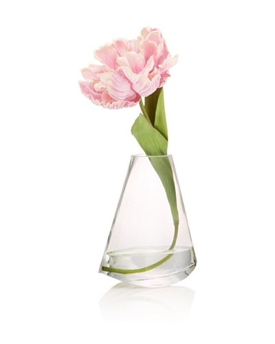 Pink Tulip in Water