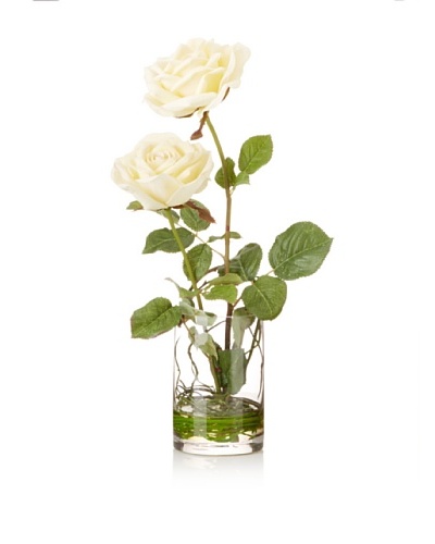 Rose Blossoms in Water