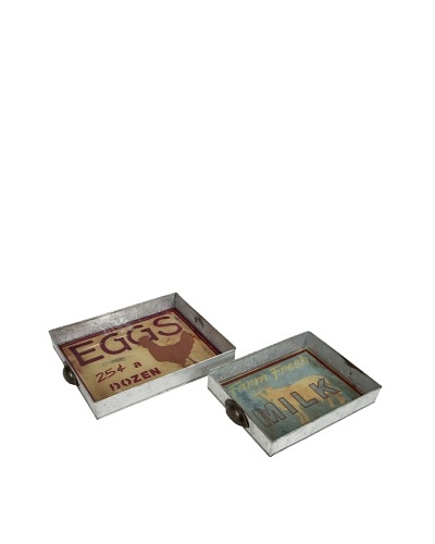 Set of 2 Farmer Galvanized Glass Trays