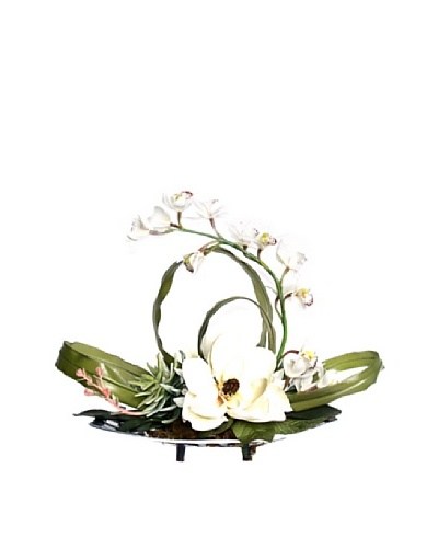 Magnolia Orchid Tray