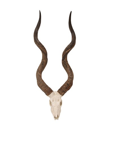 Hand-Crafted Kudu Wall Horns