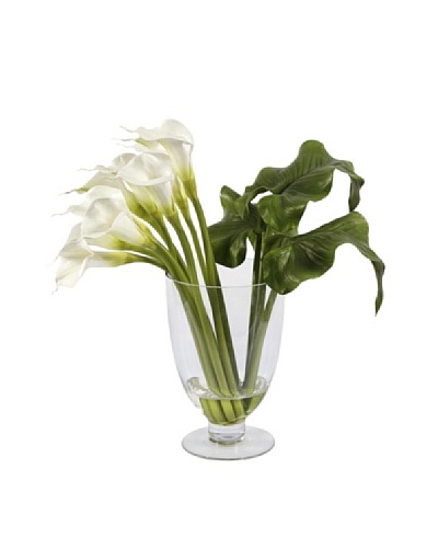 Calla Lily in Glass Vase, White