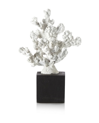 Mauritius Faux Coral on Wood Base, White/Black