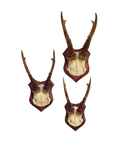 3-Piece Roe Deer Antlers Wall Plaque Set