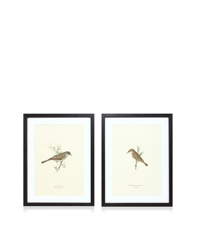 Wright Brothers Bird Prints, C. 1920, Pair