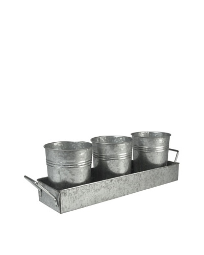 Oasis Picnic Caddy & Planter Set, Galvanized