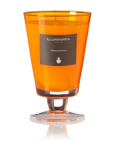 Illuminaria Wax Filled Vase Candle Jar, Orange Frangipani, 8 Oz.