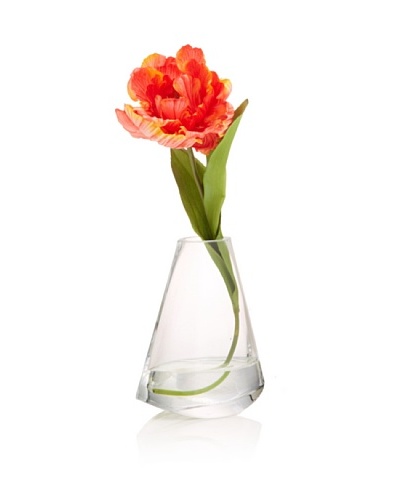 Orange Tulip in Water