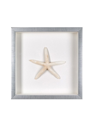 Starfish Natural