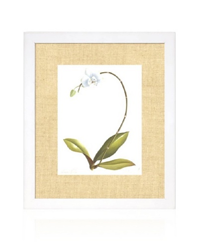 Orchid II, White/Bamboo