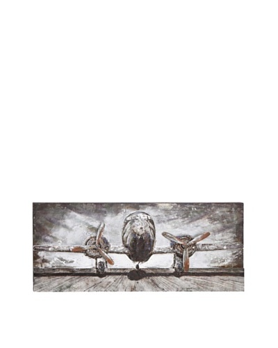 Iron 3-D Plane Wall Art I