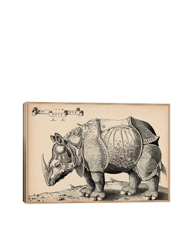 Rhinoceros by Enea Vico Giclée on Canvas