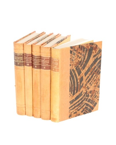 Set of 5 Vintage Leather Books II