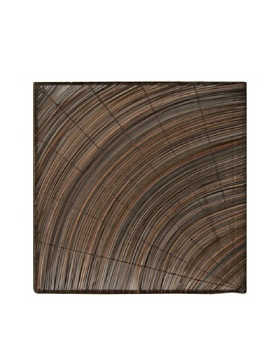 Palm Rib Swirl Wall Décor