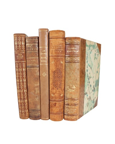 Set of 5 Decorative Leather Books, Multi
