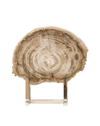 Sliced Petrified Wood with Stand, Small
