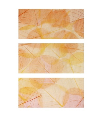 Colorful Leaves, Triptych