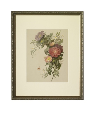 1880s Asters Floral Spray