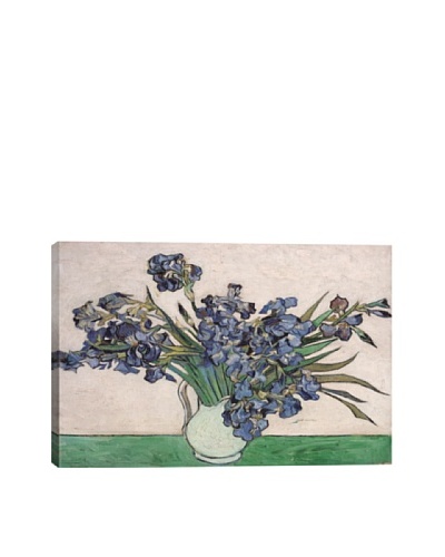 Vincent Van Gogh's Irises (1890) Giclée Canvas Print