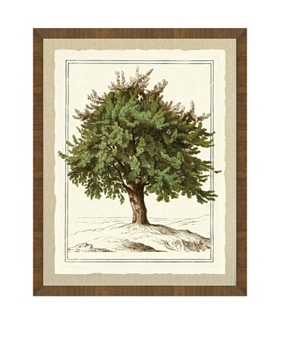 Tree Giclée Print I