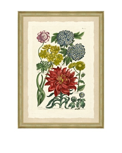 Colorful Botanical Framed Giclée Print