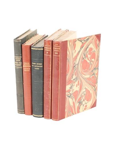 Set of 5 Vintage Leather Books VI