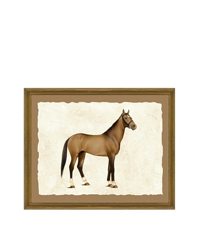 Horse Giclée Print I