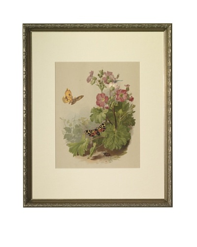 1880s Flowers & ButterfliesAs You See