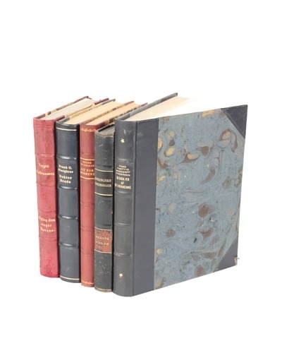 Set of 5 Vintage Leather Books VII