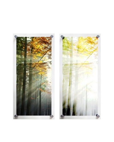 Autumn Morning Sun Beams, Diptych