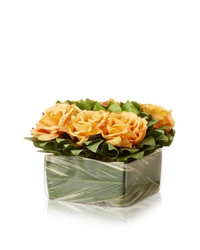 Gold Rose Lemon Leaf Square