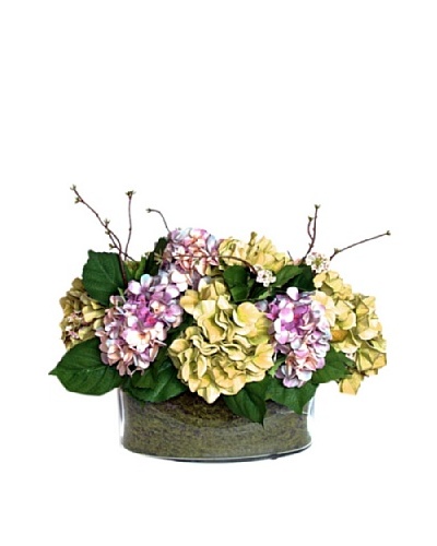 Mixed Hydrangea Oval [Green, Mauve]