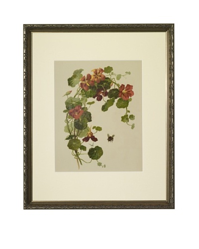 1880s Nasturtiums Floral Spray