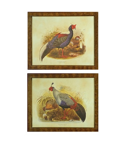 Set of 2 Framed Pheasant Illustrations