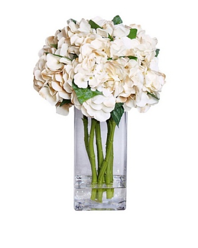 Hydrangea In Water [Creme/Green]