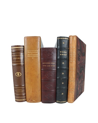 Set of 5 Decorative Leather Books, Multi