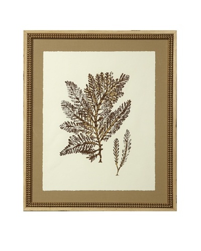Gold Leaf Sea Fan Print with Rustic Beaded Wood Frame, Gold/Cream, 26 x 22