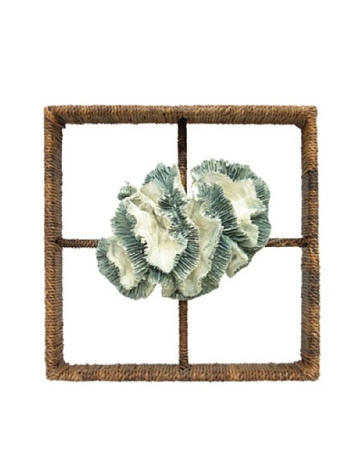 Broach Coral Shadow Box