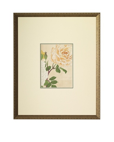 1918 Botanical Japanese Woodblock RosesAs You See