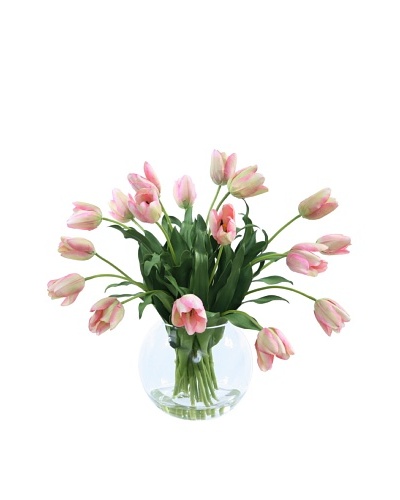 Tulip in Glass Vase, Pink