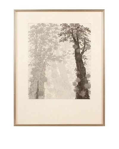 Tree Canopy Framed Artwork, Black/White