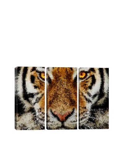 Animal Art Tiger Triptych By Maximilian San Giclée Canvas Print