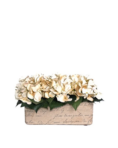 Hydrangea Trio Sill Pot [Creme/Green]