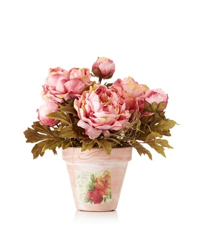 Peony Bouquet in Terra Cotta