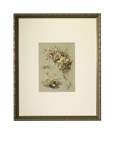 1880s Chromolithograph Vignettes