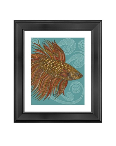 Beta Fish, 24 x 20As You See